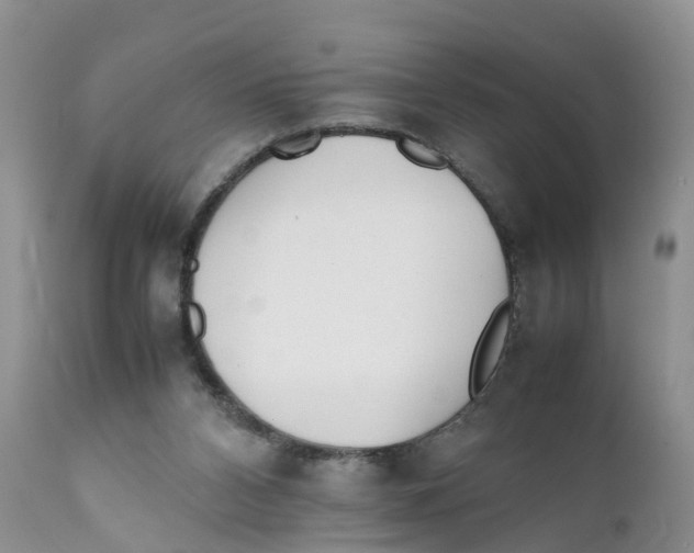 X0000111630112200908141353