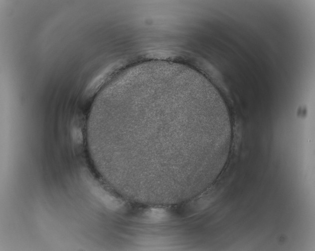 X0000111630114200908141352