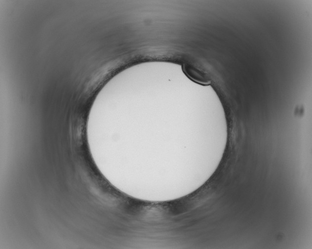 X0000111630115200908141352