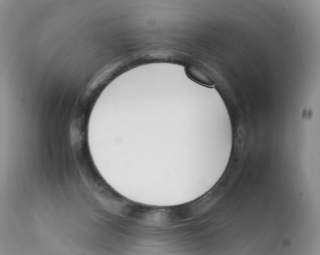 X0000111630116200908141352