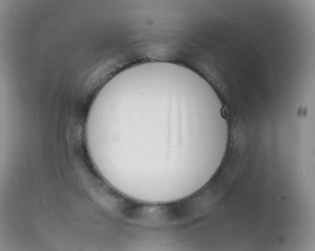X0000111630117200908141352