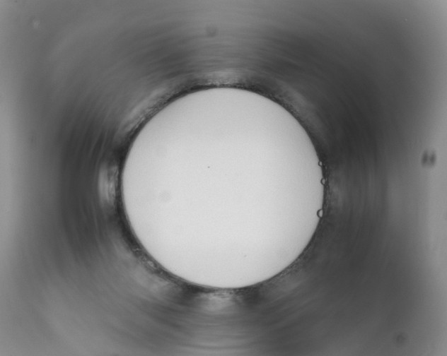 X0000111630118200908141352
