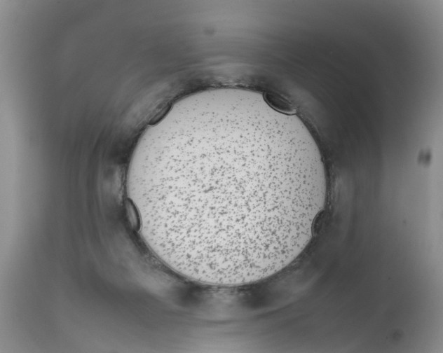 X0000111630121200908141352
