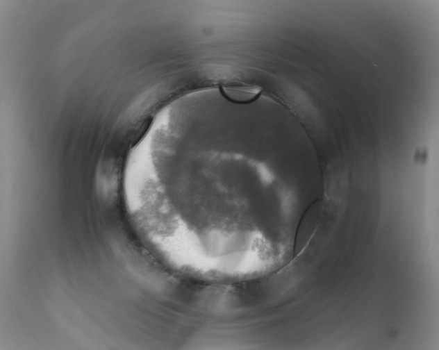 X0000111630124200908141352