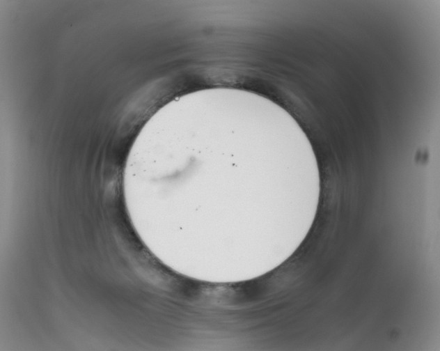 X0000111630125200908141352