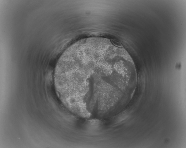 X0000111630127200908141352
