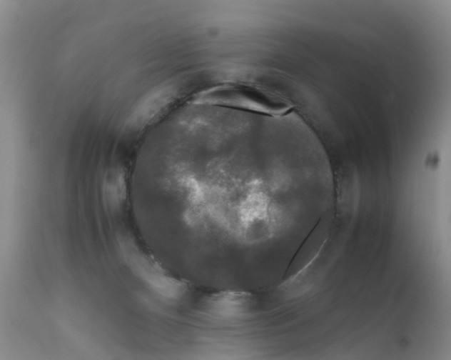 X0000111630128200908141352