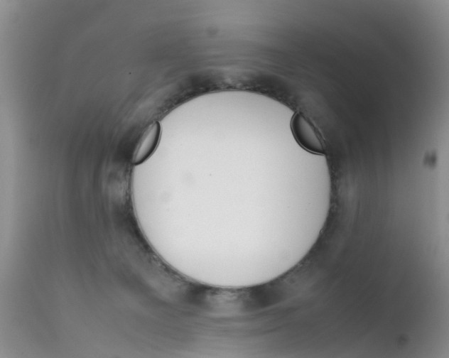 X0000111630129200908141352