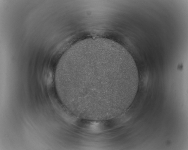 X0000111630130200908141352