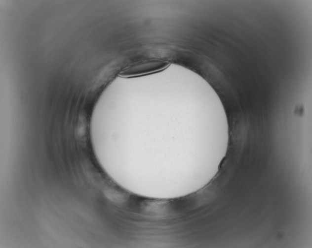 X0000111630132200908141352