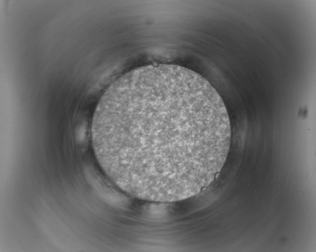 X0000111630134200908141352