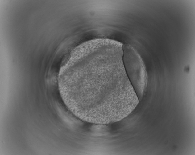 X0000111630137200908141352