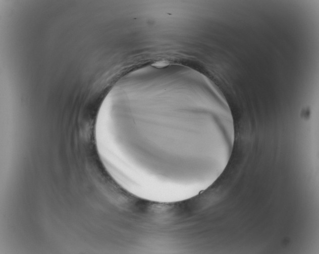 X0000111630139200908141352