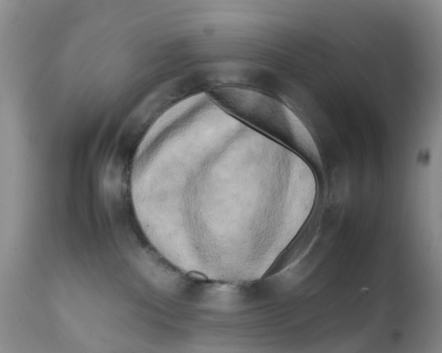 X0000111630140200908141352