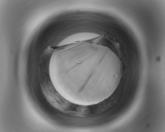 X0000111630143200908141352