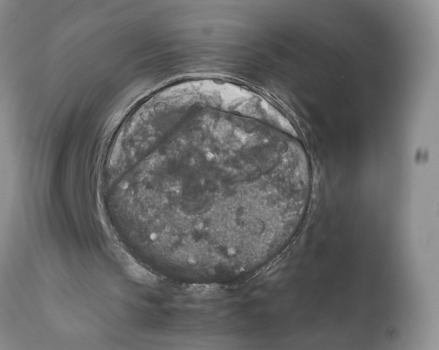 X0000111630145200908141351