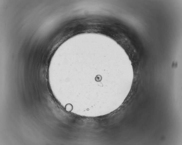 X0000111630146200908141351