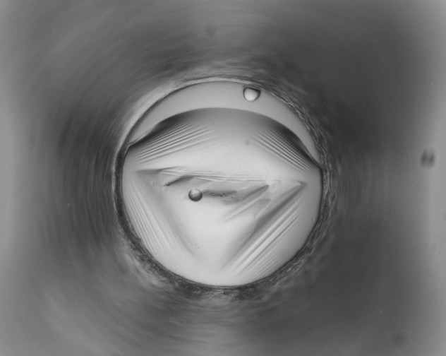 X0000111630148200908141351