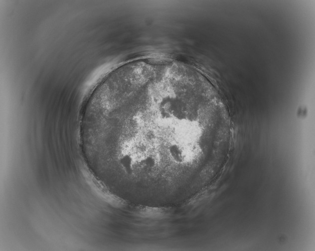 X0000111630149200908141351