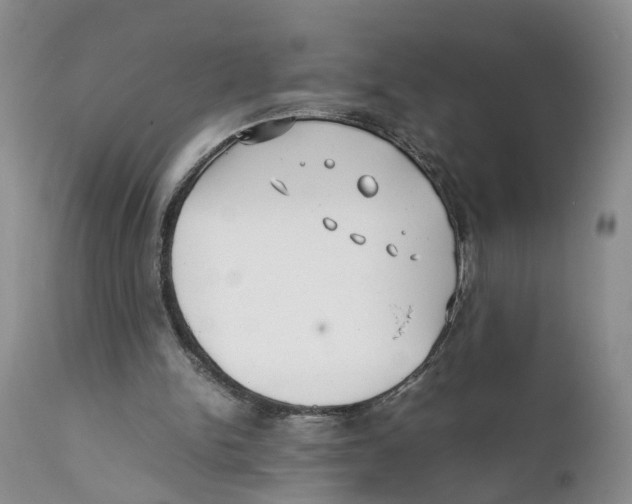 X0000111630150200908141351