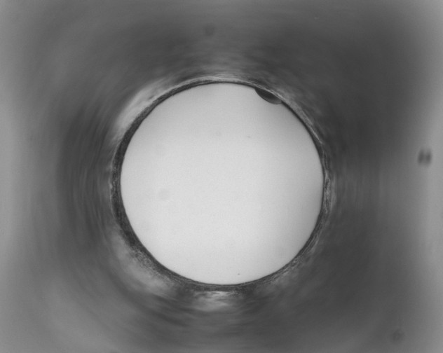 X0000111630151200908141352