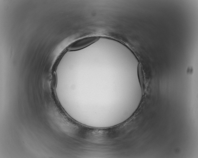 X0000111630152200908141352