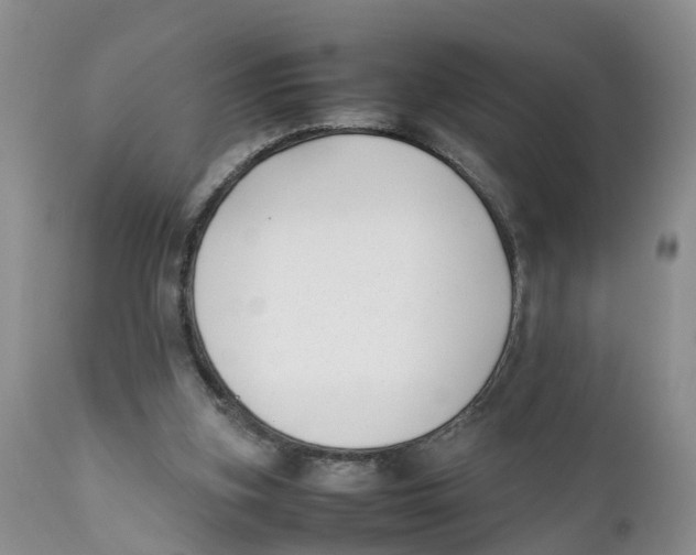 X0000111630155200908141352
