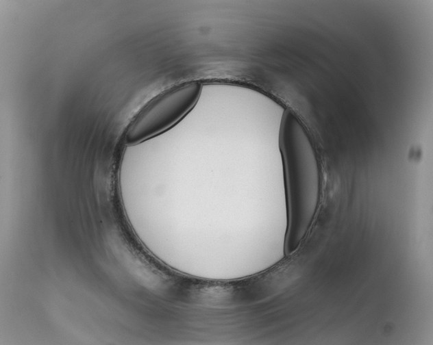 X0000111630156200908141352
