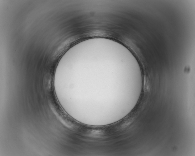 X0000111630157200908141352