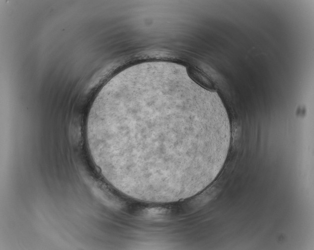 X0000111630158200908141352