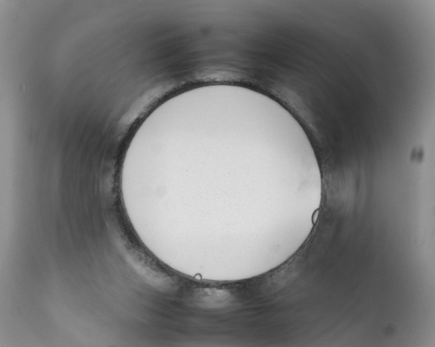 X0000111630159200908141352