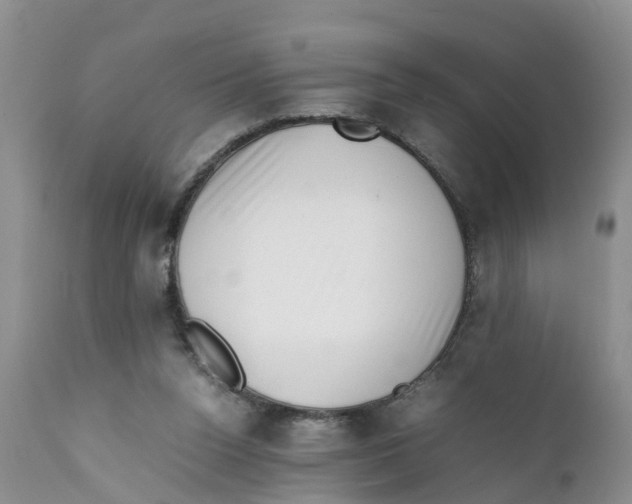 X0000111630160200908141352