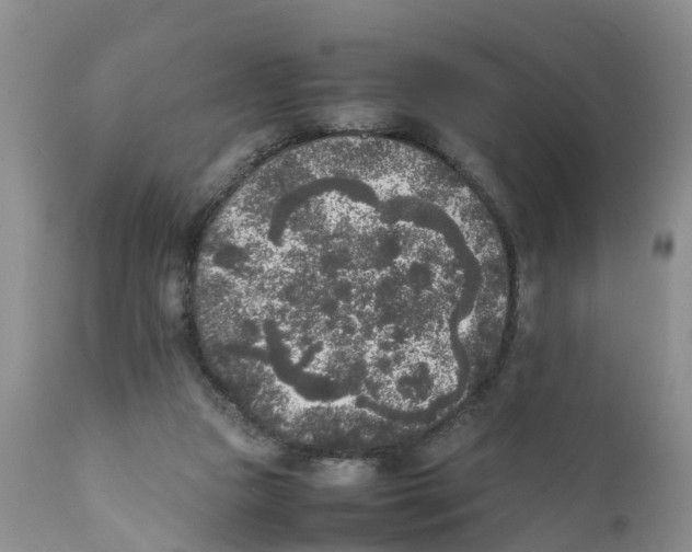 X0000111630161200908141352
