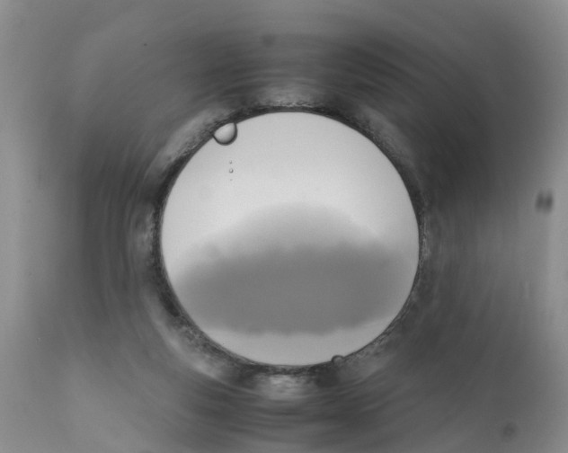 X0000111630163200908141352