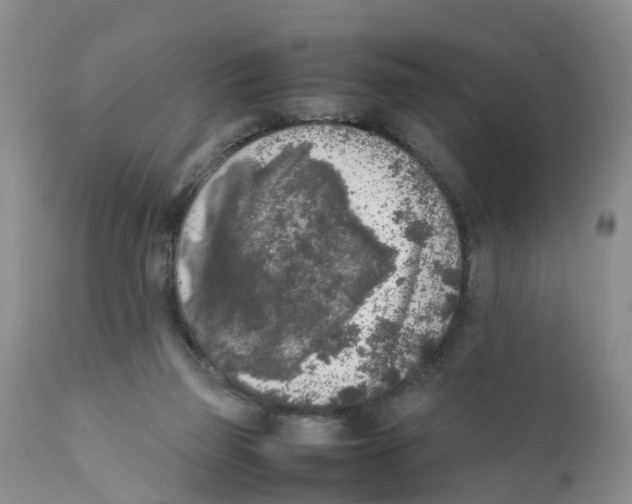 X0000111630165200908141352