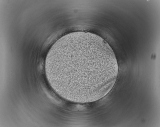 X0000111630166200908141352