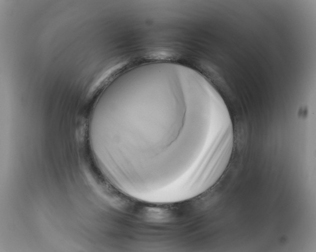 X0000111630167200908141352