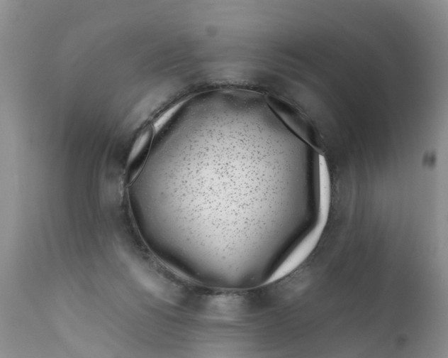 X0000111630168200908141352