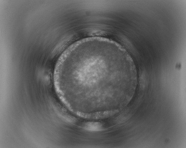 X0000111630169200908141352
