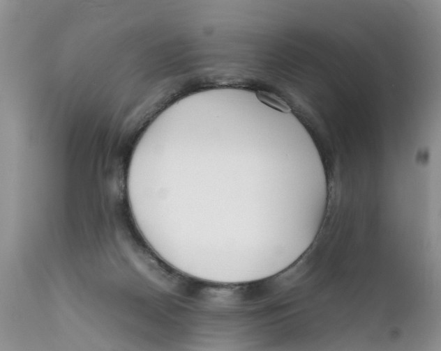 X0000111630170200908141352