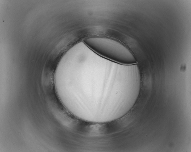 X0000111630172200908141352