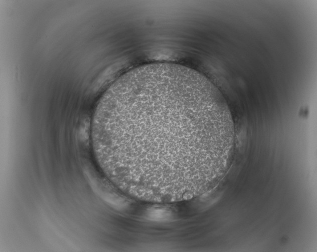 X0000111630175200908141352