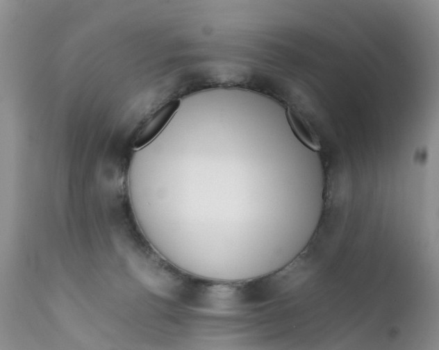 X0000111630176200908141352