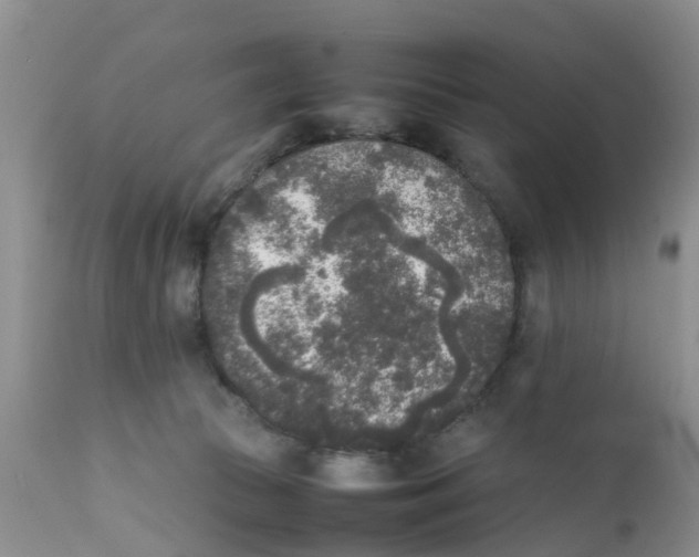 X0000111630177200908141352