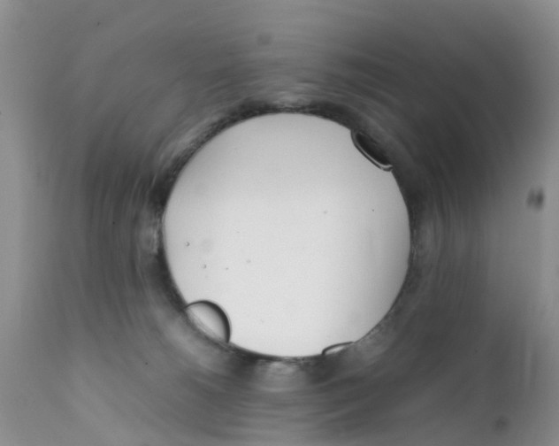 X0000111630180200908141352