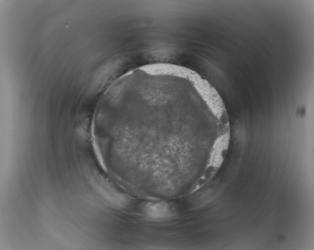 X0000111630181200908141352