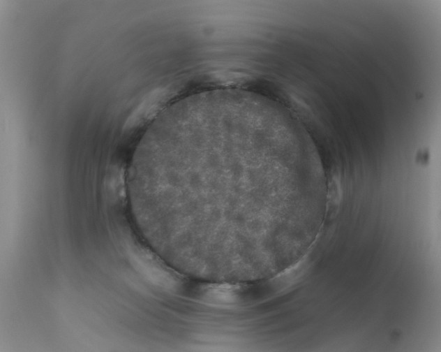 X0000111630182200908141352