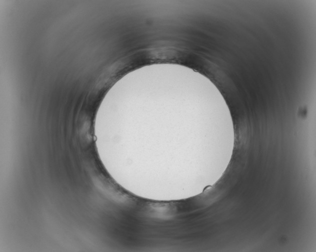 X0000111630187200908141352