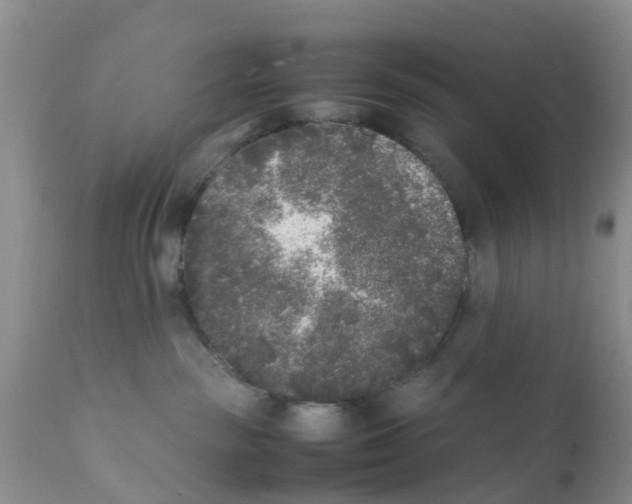 X0000111630189200908141352