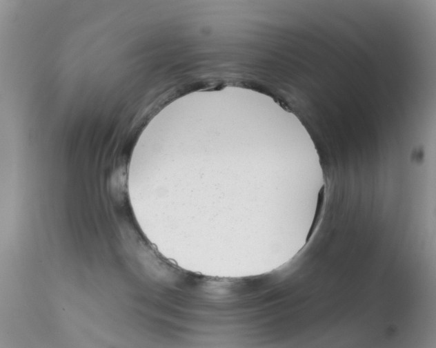 X0000111630190200908141352